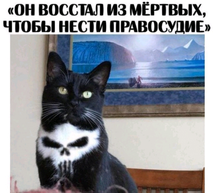 ОН ВОССТАЛ ИЗ МЁРТВЫХ ЧТОБЫ НЕСТИ ПРАВОСУДИЕ 7 1