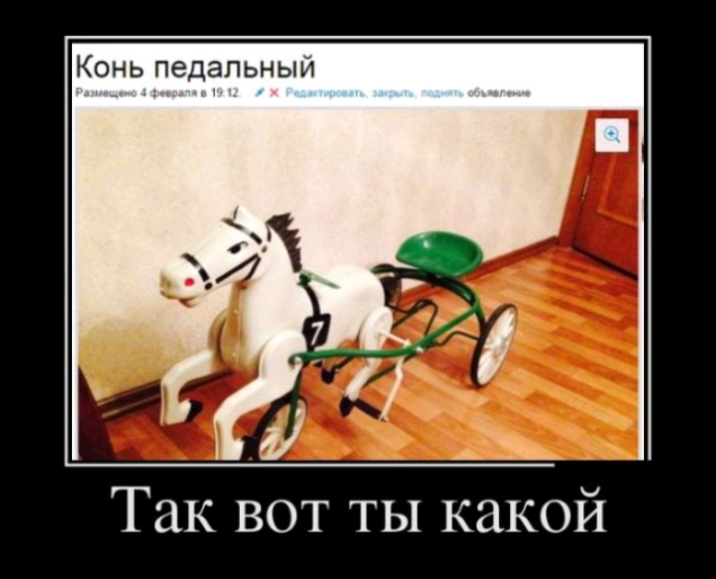 Конь педальный Так вот ты какой