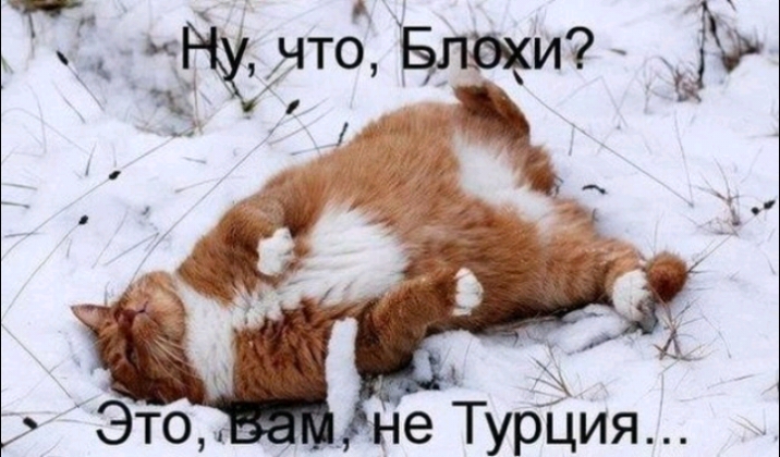 дечТу 93 рция