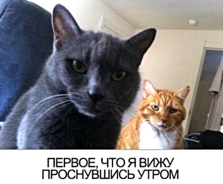 ПЕРВОЕ ЧТО Я ВИЖУ ПРОСНУВШИСЬ УТРОМ