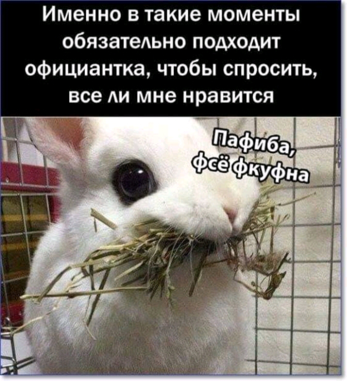 Именно в такие моменты обязатеАьно подходит официантка чтобы спросить все АИ мне нравится