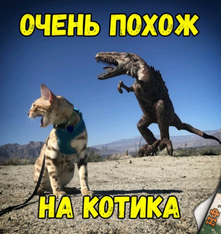 ОЧЕНЬ ПОХОЖ