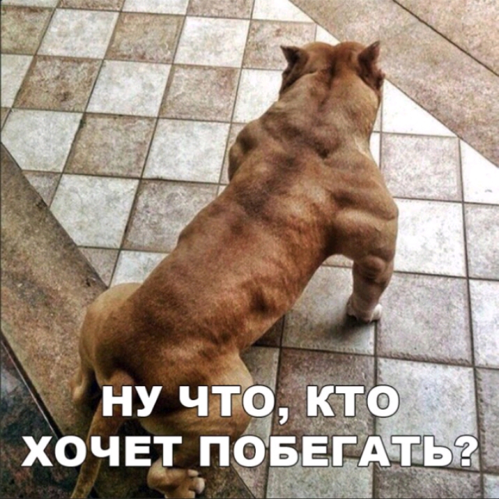 ну чтрд хочвдрпцёёг _