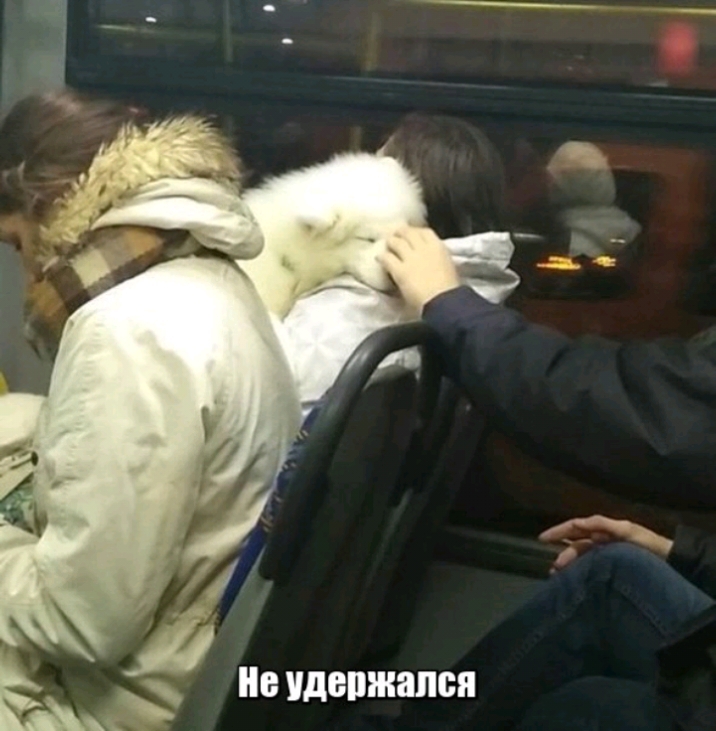На 9 держал сп