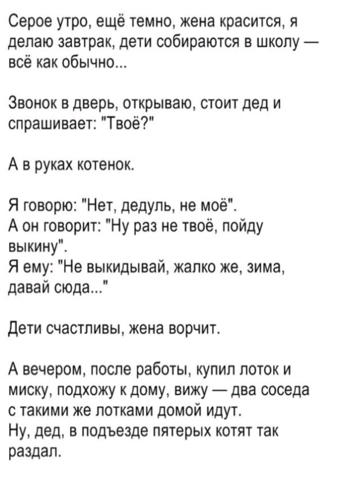 Серое утро ещё темно жена красится я делаю завтрак дети собираются в школу всё как обычно Звонок в дверь открываю стоит дед и спрашивает Твоё А в руках котенок Я говорю Нет дедуль не моё А он говорит Ну раз не твоё пойду выкину Я ему Не выкидывай жалко же зима давай сюда Дети СЧЗСТПИВЫ жена ВОРЧИТ А вечером после работы купил поток и миску подхожу к дому вижу два соседа С такими же ПОТКЗМИ ДОМОЙ И
