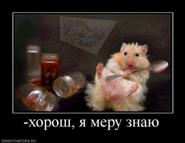 хорош я меру знаю пЕмотшАтоиз пы