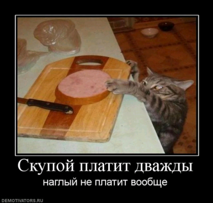 СКУПОЙ платит дважды наглый не платит вообще ввмотмтопзли