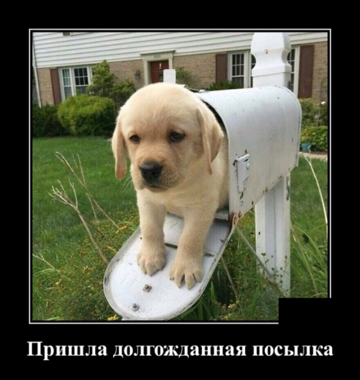 Пришла Долгожданная ЦОСЬЦЛКЗ