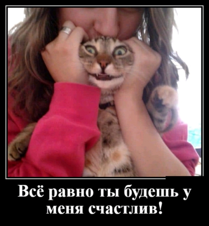 Всё равно ты будешь у меня счастлив
