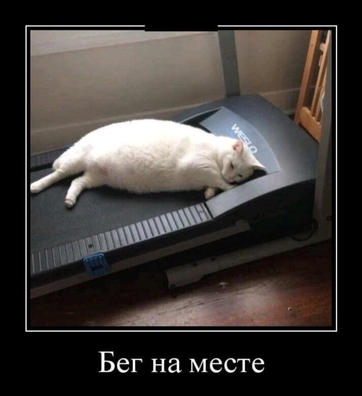 Бег на месте