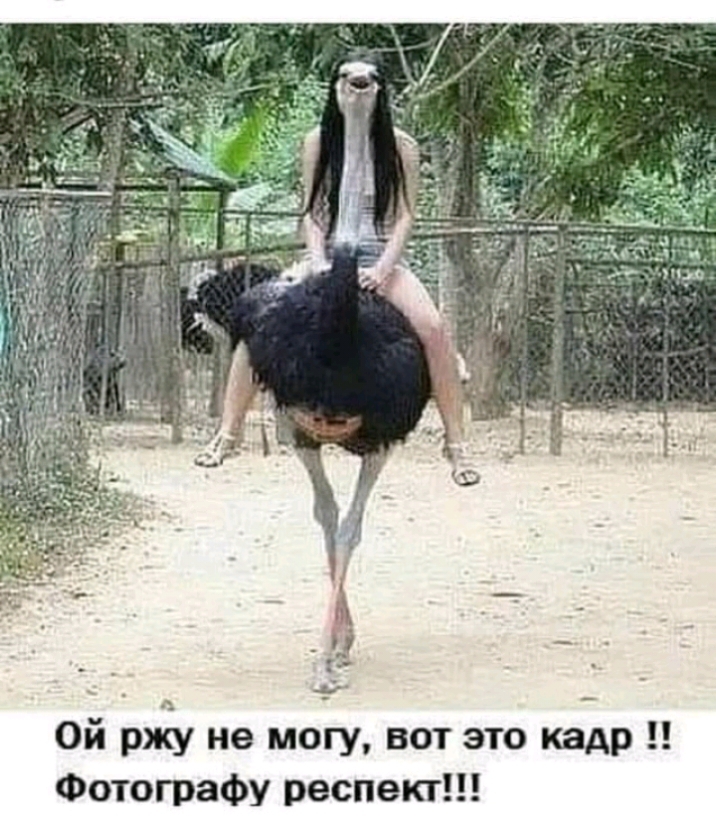 г Ой рхіу не могу вот это кар Фотографу респект