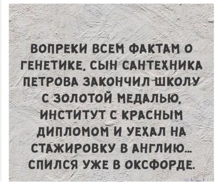 воцееки всвн Фдктш о генетикв сынАНТЕхникд _ пвтровд здкончилшколм _ _ с золотой мышью инстИтут с кгдсныи дипломоъГи увхдл нд стджиговку в АНГЛИЮ спился уже в оксфогдв