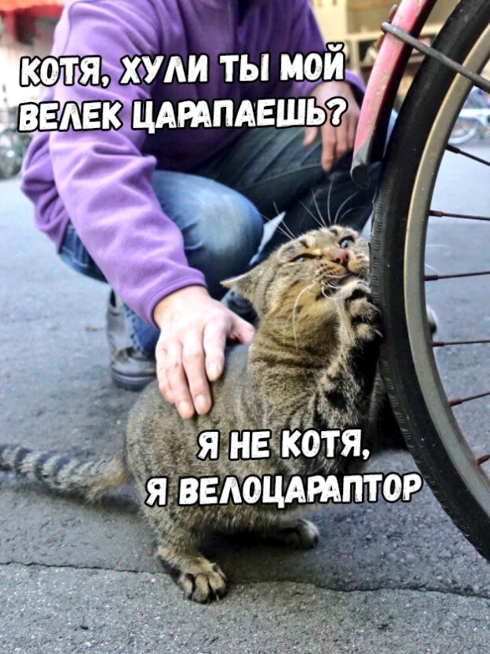 хми ты м9й гимн ь _