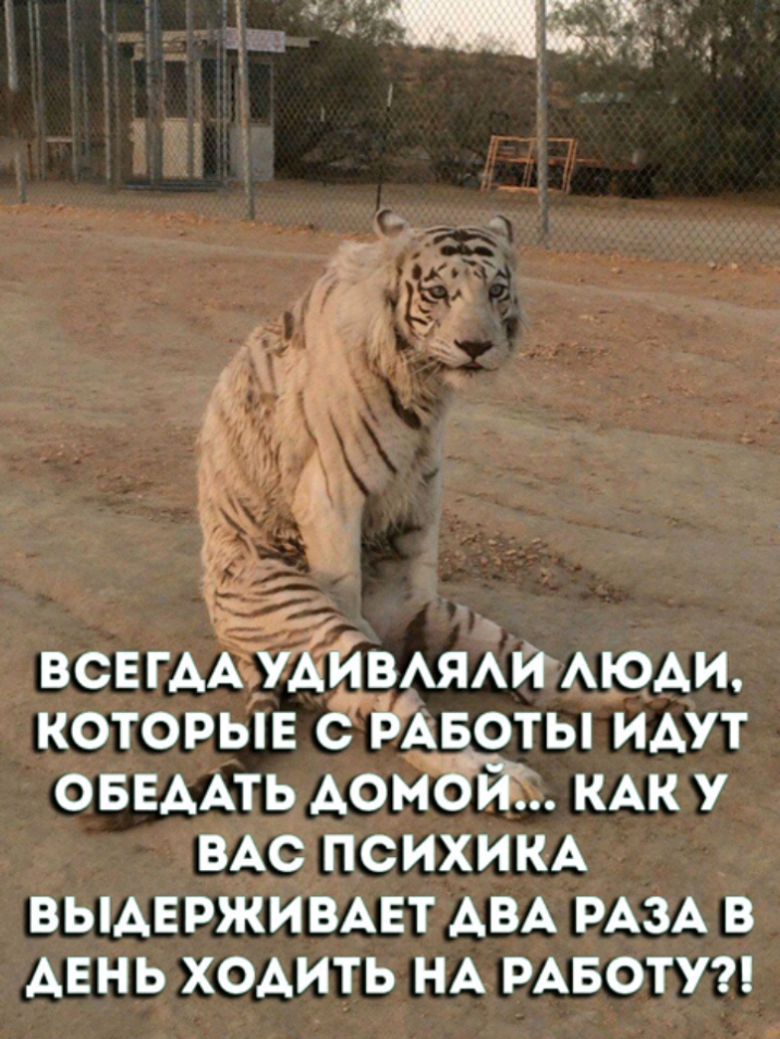 ВСЕГАА УЁЁВАЯАИ АЮАи которыв с ВАвоты ИАУТ ОБЕААТЬ Аомбйі КАК у ВАС ПСИХИКА ВЫАЕРЖИВАЕТ АВА РАЗА в день хоАить НА РАБОТУ _