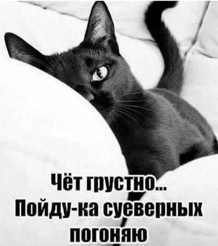 Пойди на СУРВВПНЫХ ППЮНЯЮ
