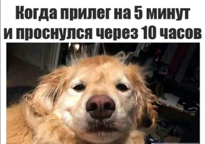 Когда ПИЛЫ на 5 МИНУТ И ШЮШШЛБЯ ЧЕПВЗ 10 часов