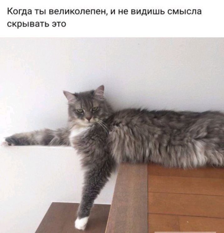 КОГДЭ ТЫ великолепен И не ВИДИШЬ СМЫСПЗ скрывать ЭТО