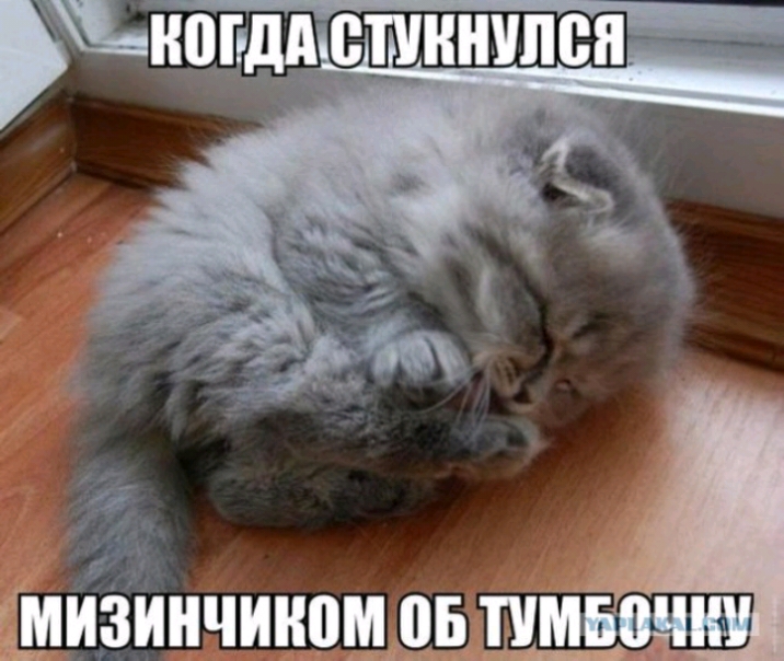 фигннчинощъп
