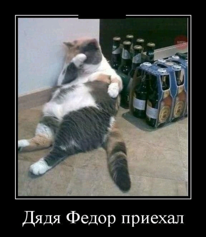 Дядя Федор приехал