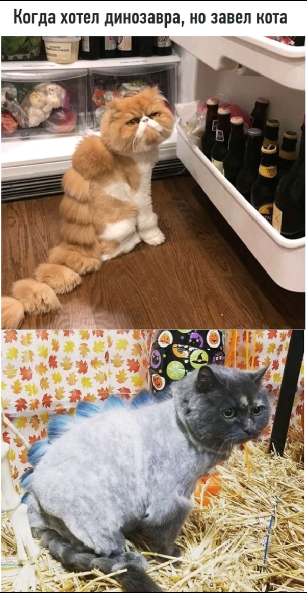 КОГДЗ ХОТЕЛ динозавра НО ЗВВЕЛ кота