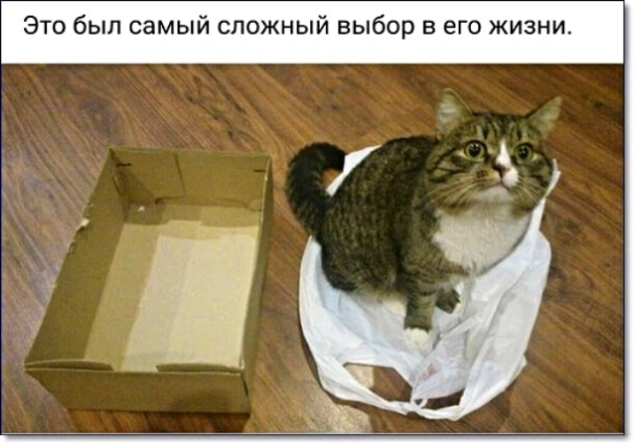 Это был самь сложный выбор в его жизни