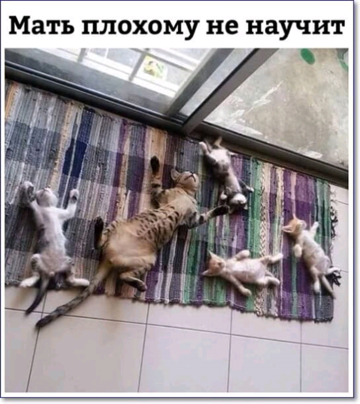 Мать плохому не научит