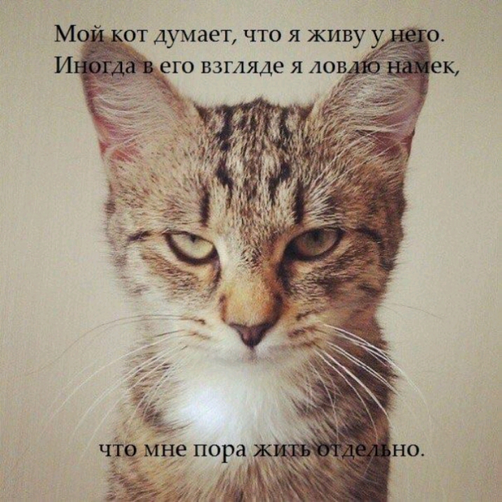 Ч мце пораУ