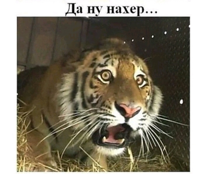 и е а Н П Д