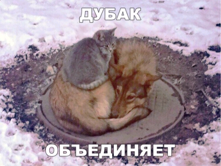 въвдинявт 3 _ Вкгду