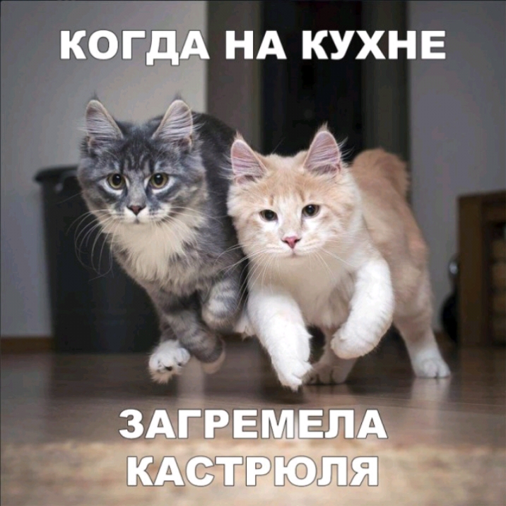 НА КУХНЕ
