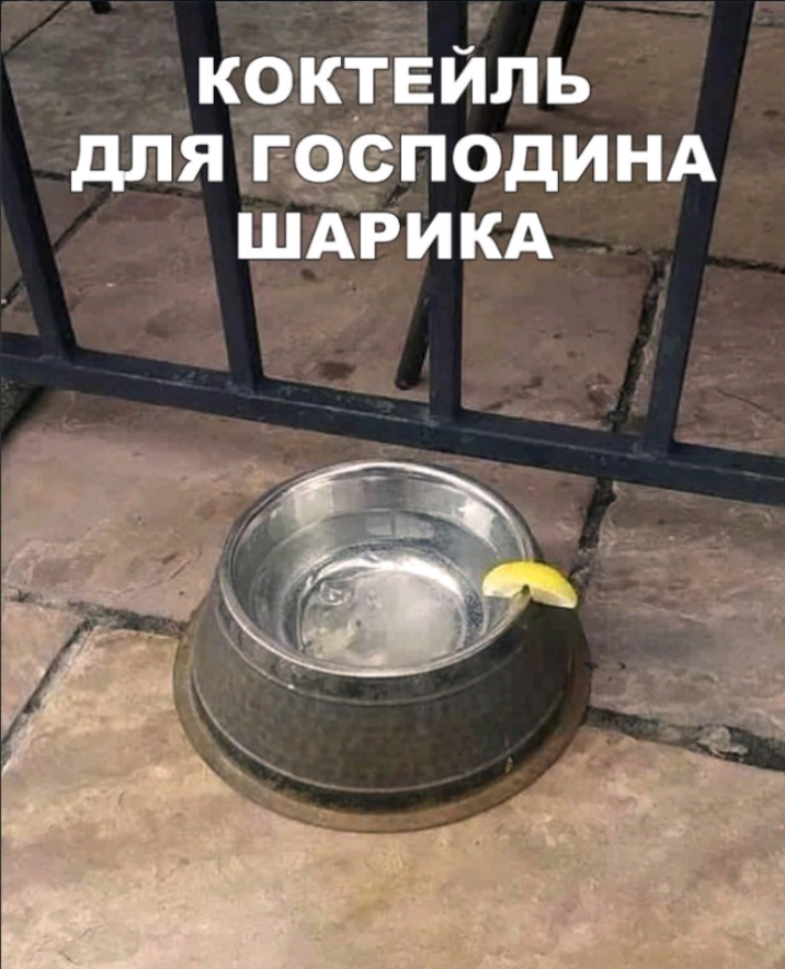 ШАРИ КА