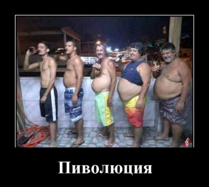 Пиволюция