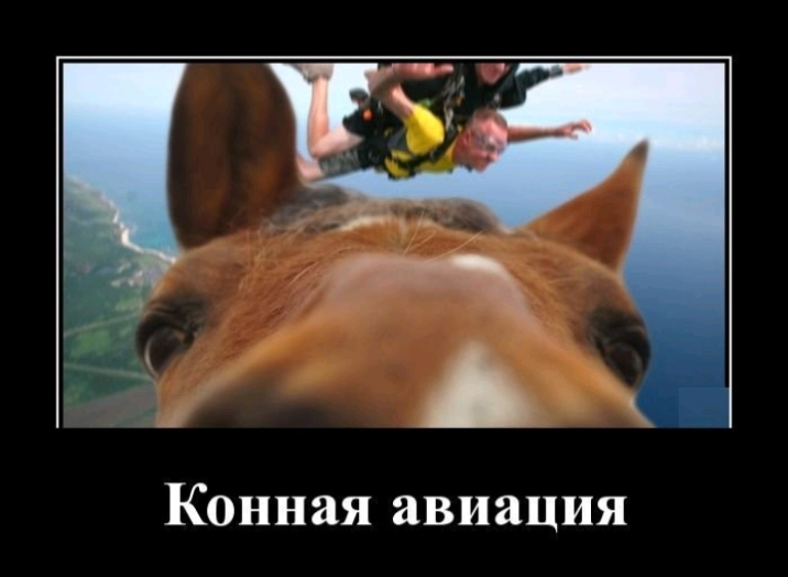 іп А Конная авиация