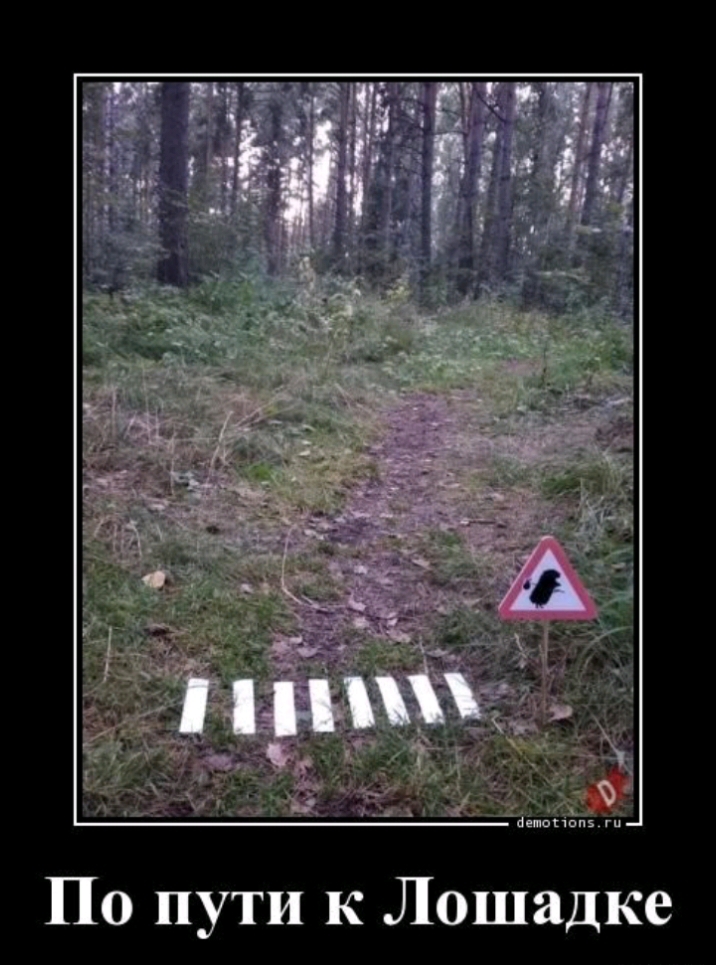 оппм гп По пути к Лошадке