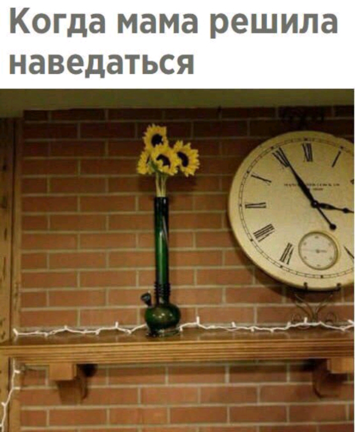 Когда мама решила наведаться