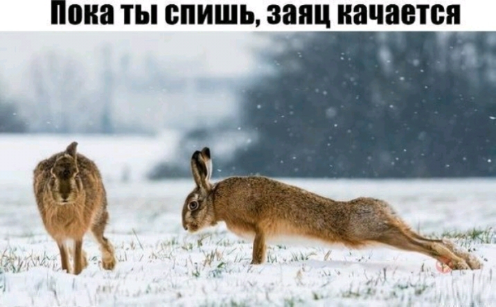 иона ТЫ спишь заяц качается