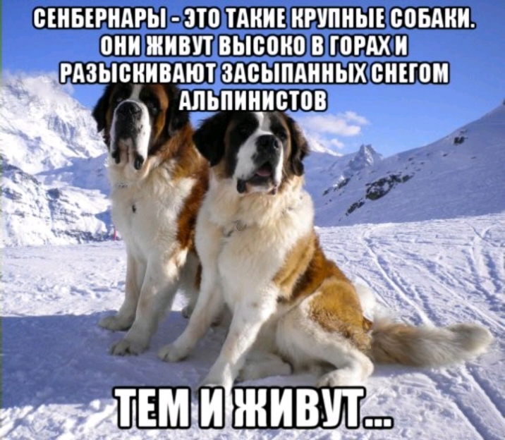 _В ФЩППЩШШШПШЕШЁПЩ _ШШШ РАЗЬЮНИВАЮТ