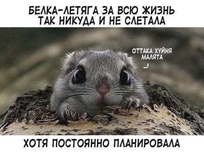 БЕАКА АЕТЯГ А ЗА ВСЮ ЖИЗНЬ ТАК НИКУАА И НЕ САЕТААА _ т М _ ОПМАЁЁЯЁЙНЯ Ш 5 хотя постянно ПААНИРВААА