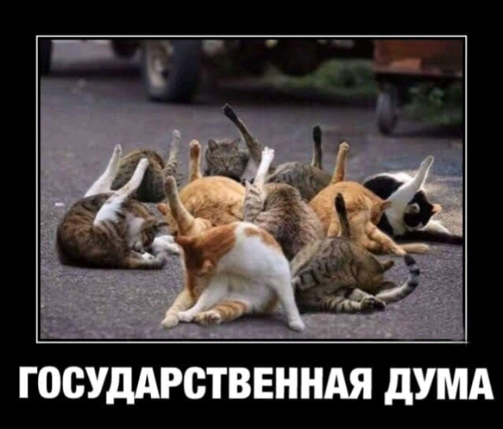 цз ГОСУДАРСТВЕННАЯ дУМА