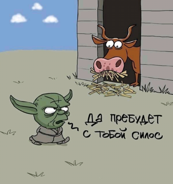тава симс 0