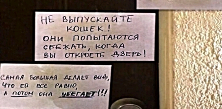 ні ВЫПУСКАЙТЁ КОШЕК они ПОПЫТАЮТСЯ спгждть когдА вы ткюетг дЬЕРь свим Большлл диш вид Что ей все Рлдио потом вид 5 ЦЕ