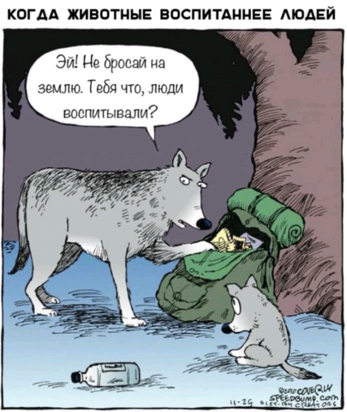 КОГДА ЖИВОТНЫЕ ВОСПИТАННЕЕ АЮАЕЙ Эй Не бросай на землю Тебя что люди воспитывали