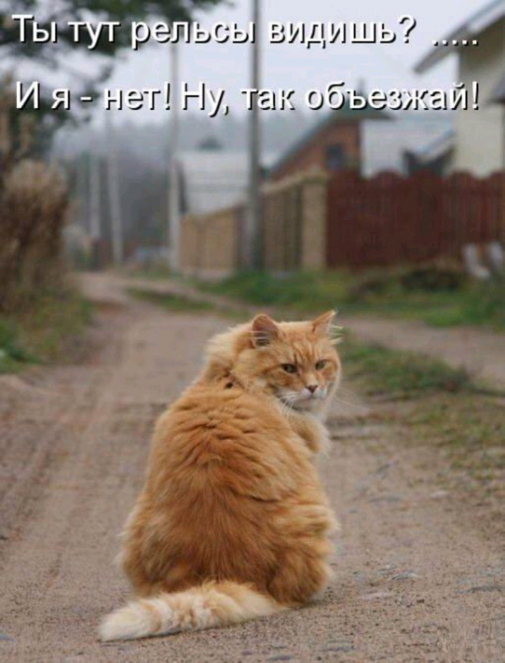 гал са г 11 0 г г Ну _