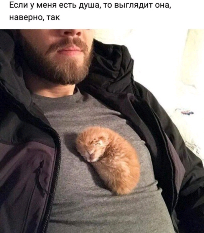 ЕСЛИ у МЕНЯ ЕСТЬ душа ТО ВЫГЛ дИТ ОНЗ наверно ТЭК