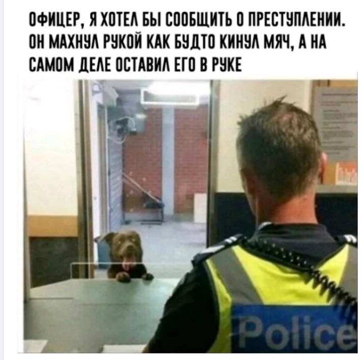 ОФИЦЕР Я ХПТЕА БЫ СППБШИТЬ 0 ПРЕСТНПАЕНКК ПН МАХНЪМ РНКПЙ КАК БНШП ККННА МЯЧ А НА САМПМ ЛЕАЕ ЦБТАВКА ЕП В РЕКЕ