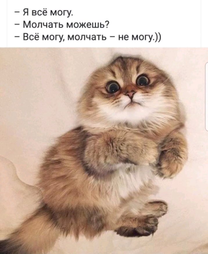 Я всё могу Молчать можешь Всё могу молчать не могу