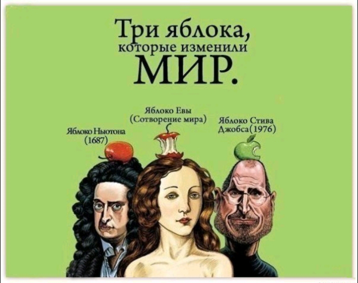 Т и ябдока те ишенш