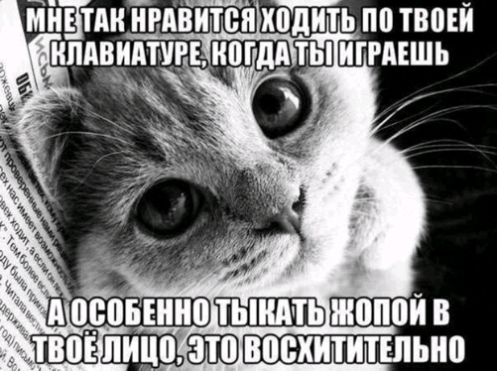 тёти ігдВитеп ходи ть по твоей