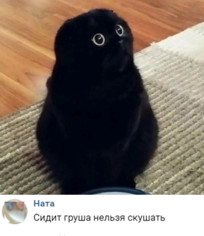 Сидит груша нельзя скушать