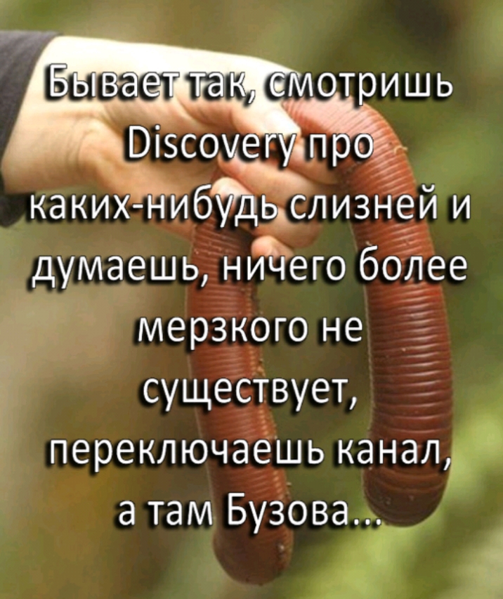 Візсоуеппроё каких нибИдыслизнеи и думаешь ничего более мерзкого не существует переключаешь канал а там Бузова